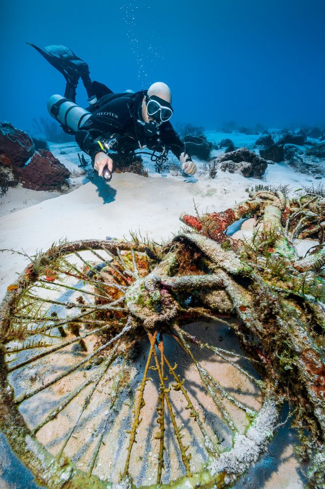 Photograph by Gustavo Costa