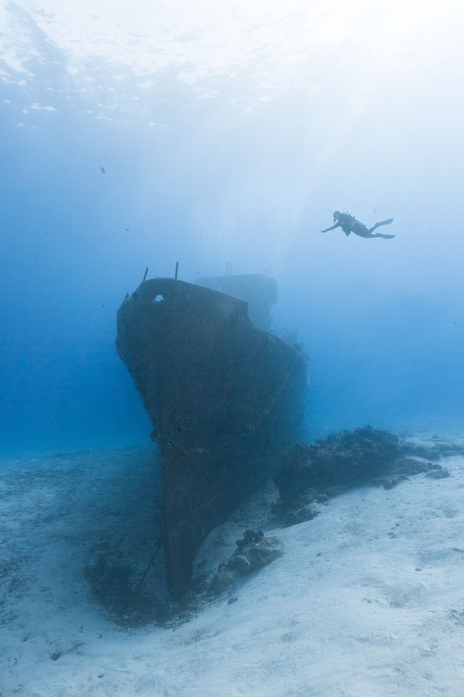 Фотография автора Gustavo Costa