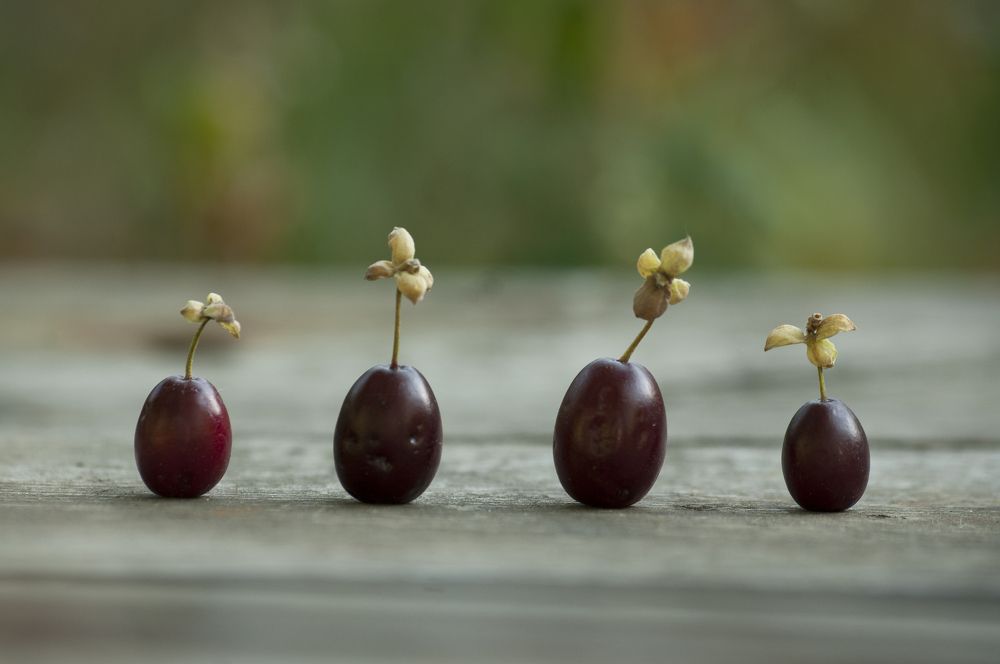 Photograph by Шикова Татьяна