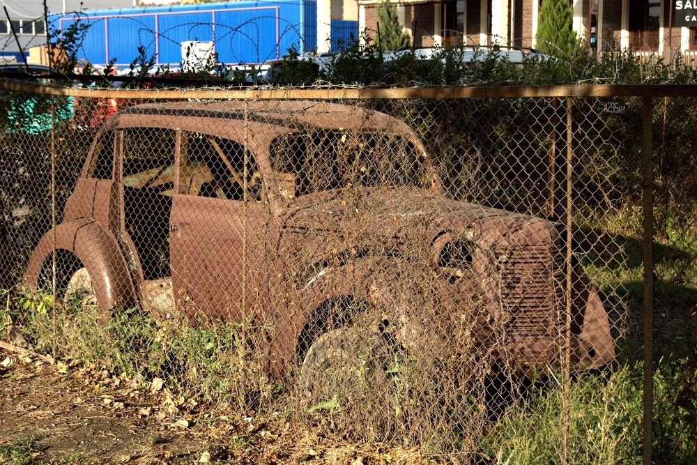 Photograph by АНДРЕЙ Роев