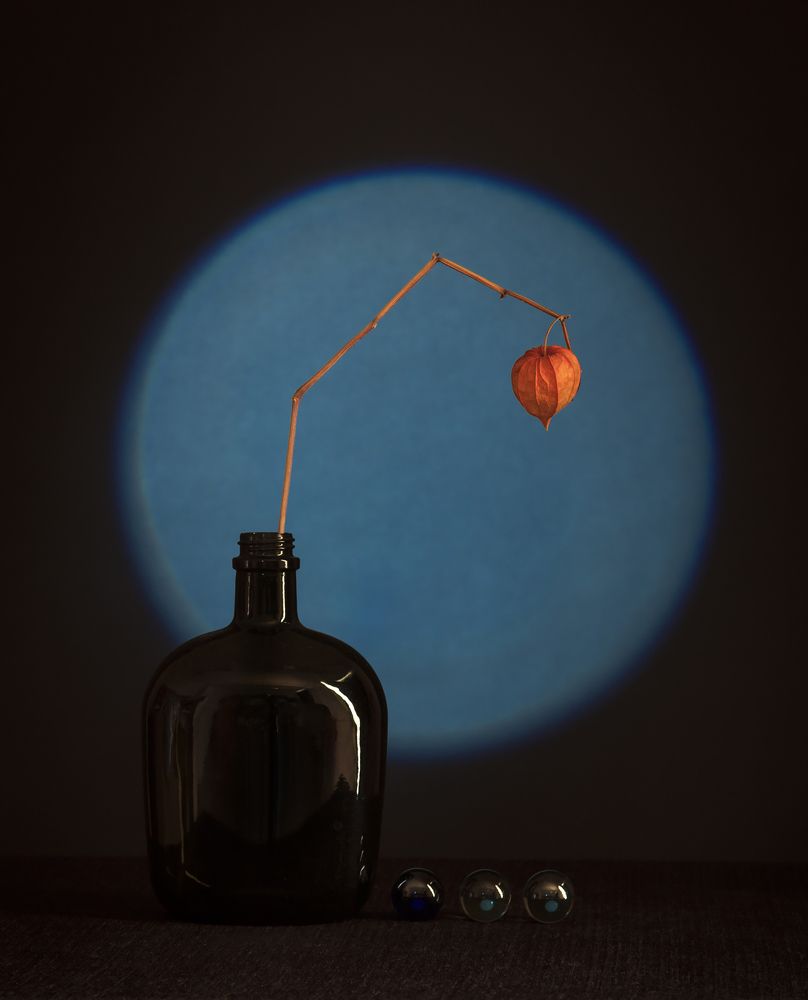 Фотография автора Refat Mamutov