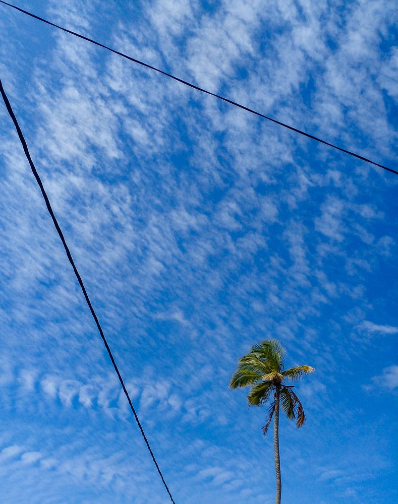 Фотография автора Sasindu Pramuditha