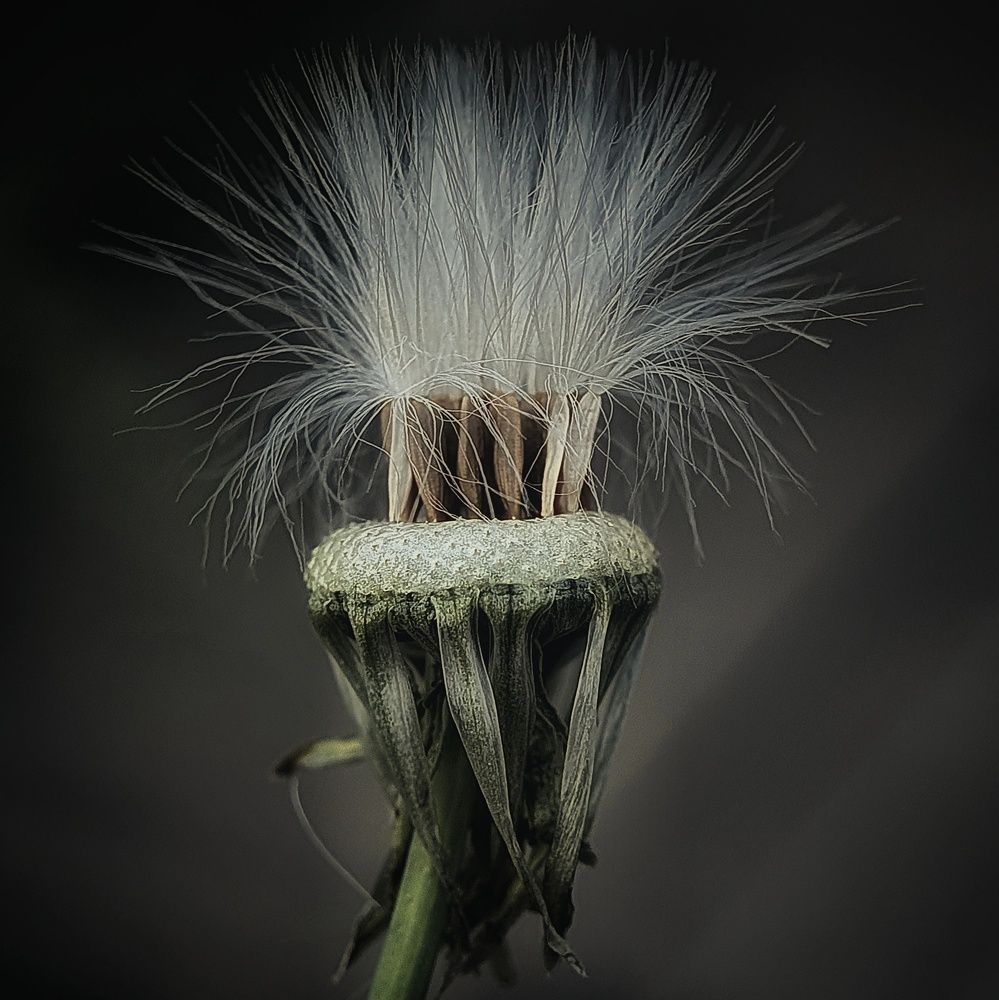 Фотография автора Юлия Таран