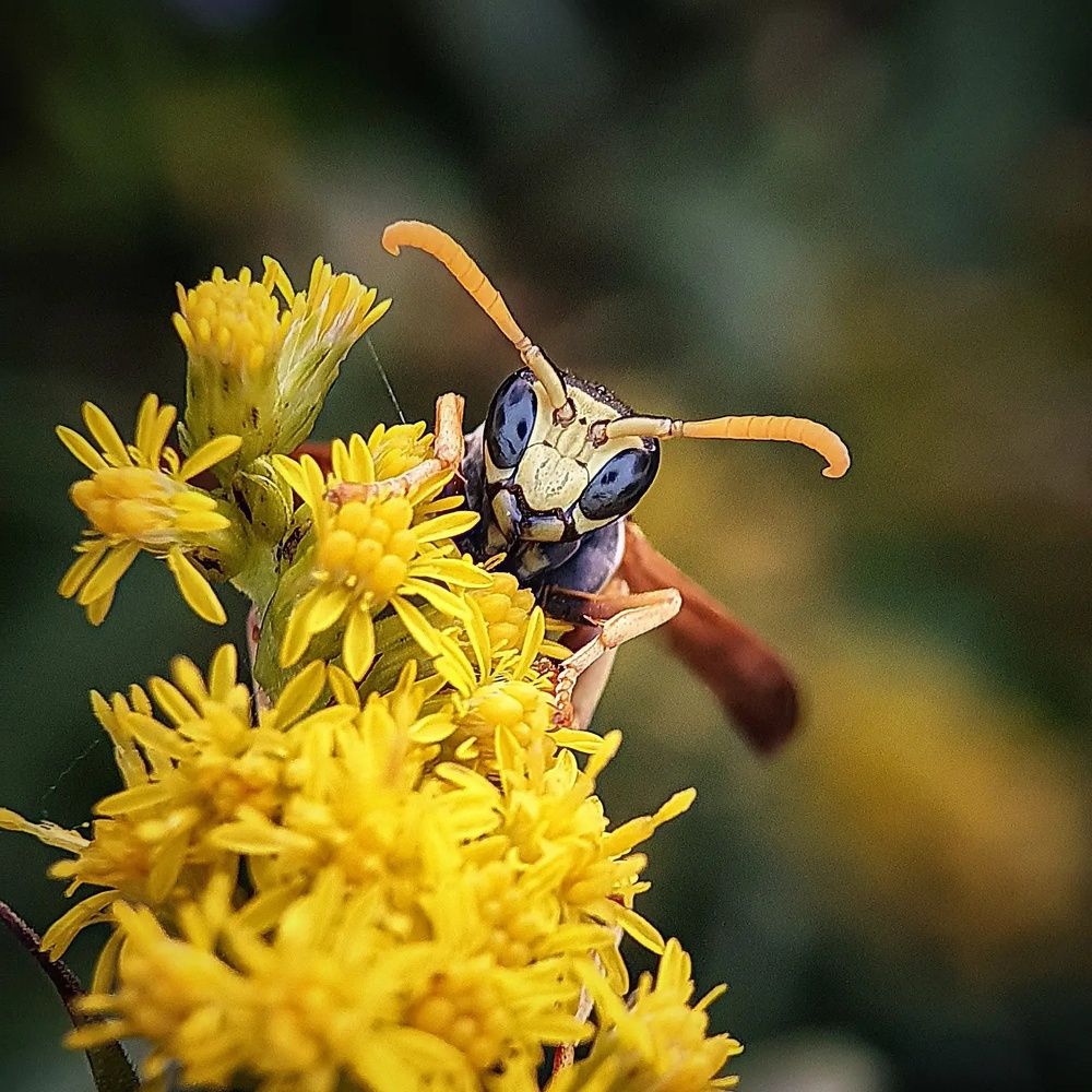 Фотография автора Юлия Таран