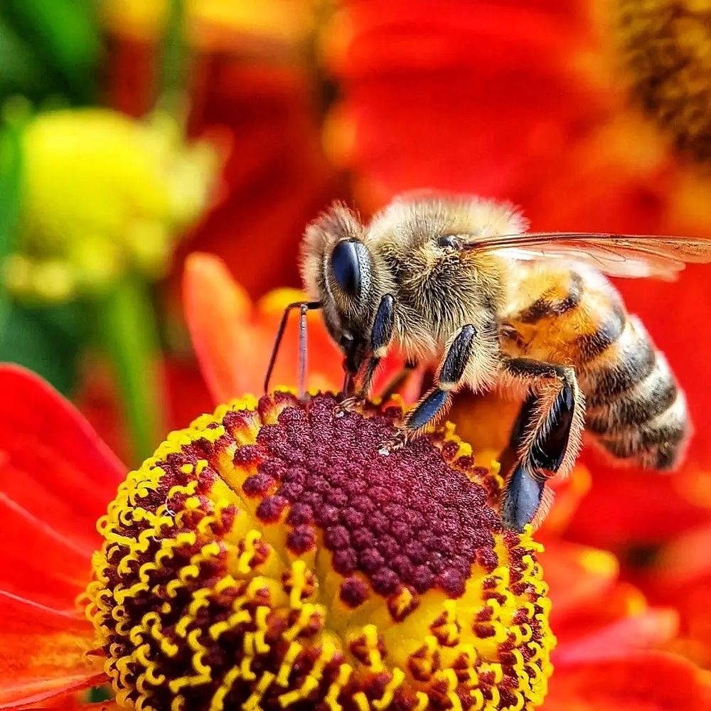 Photograph by Юлия Таран