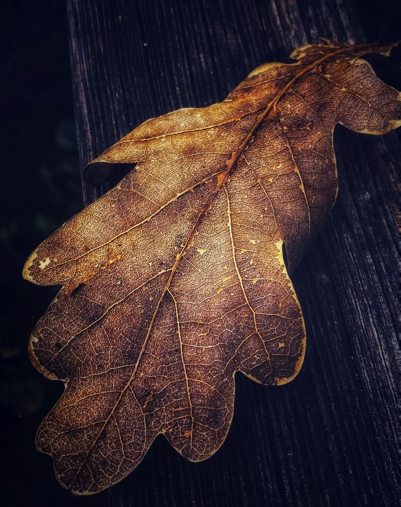 Photograph by Ольга Скиба