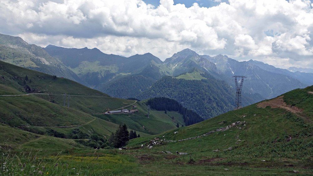 Фотография автора Nicolò Lagona