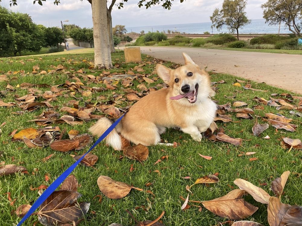 Photograph by אליונה קרילוב