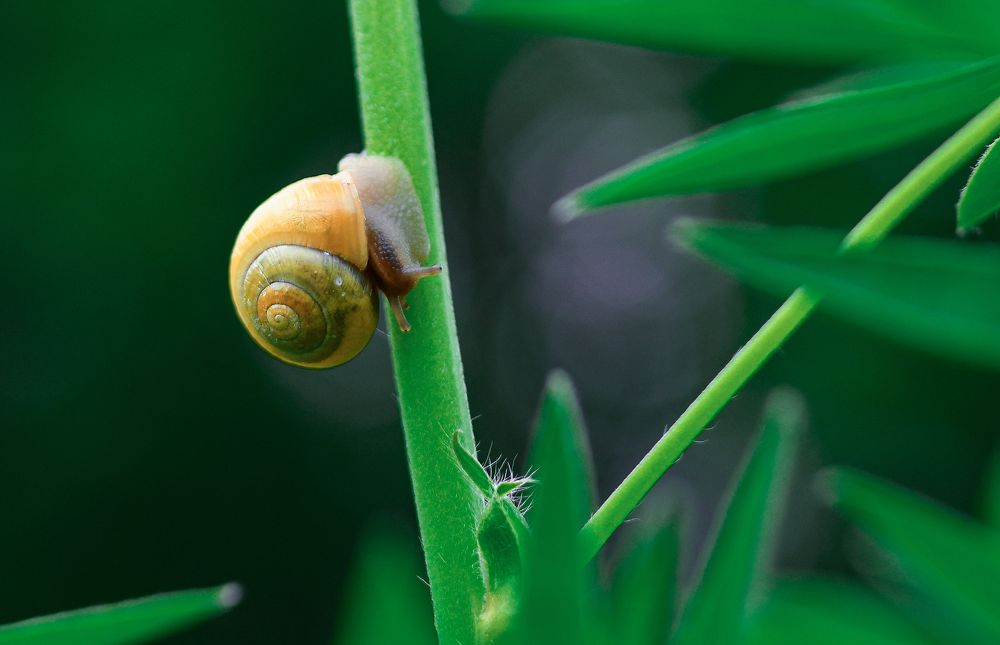 Фотография автора Anna NovaLova