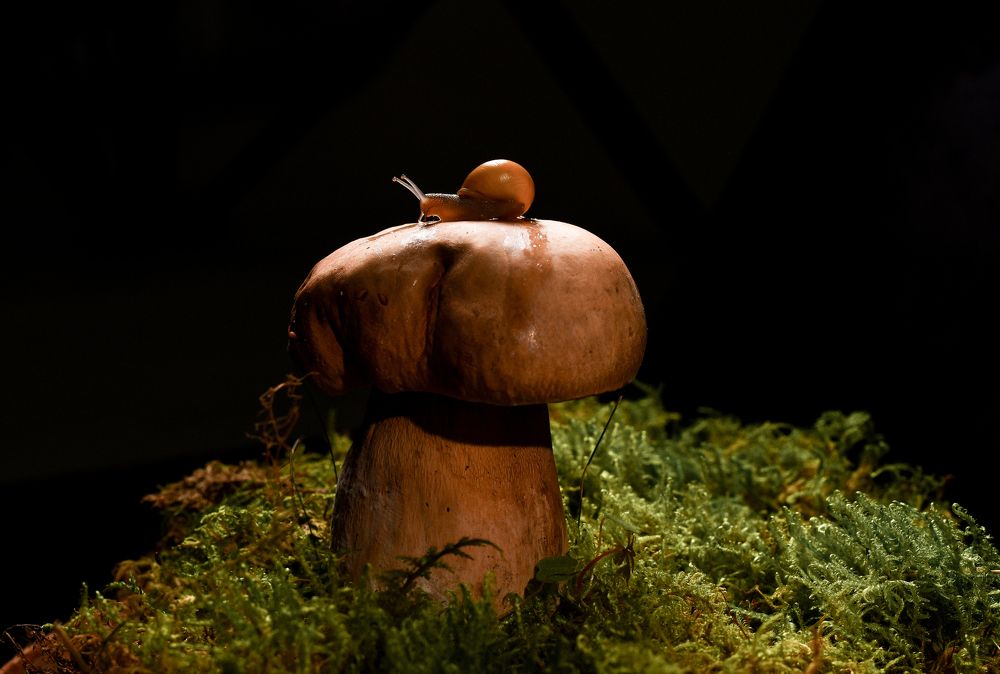 Фотография автора Anna NovaLova