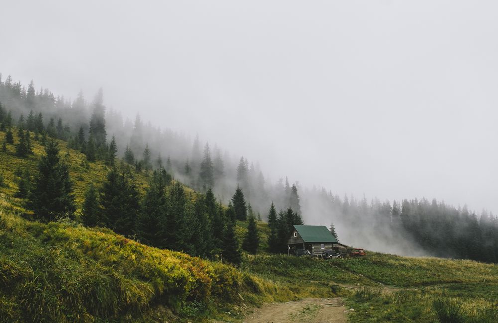 Photograph by Кристина Оксенюк