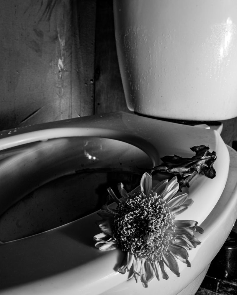 Портрет женщины