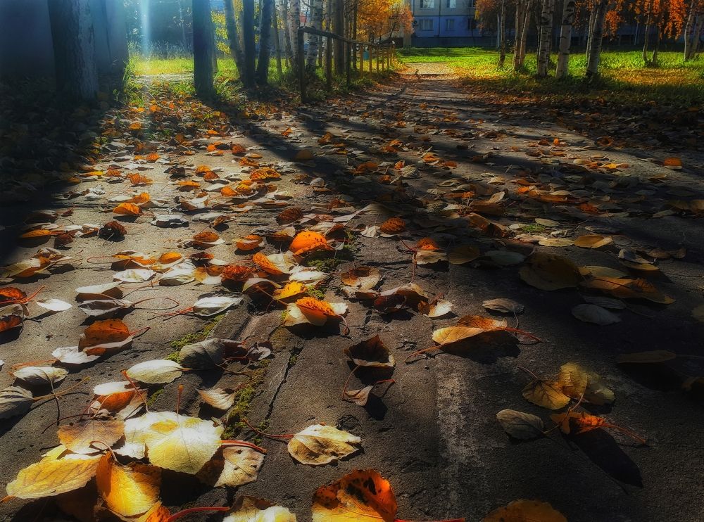 Золотая Осень Севера!!!