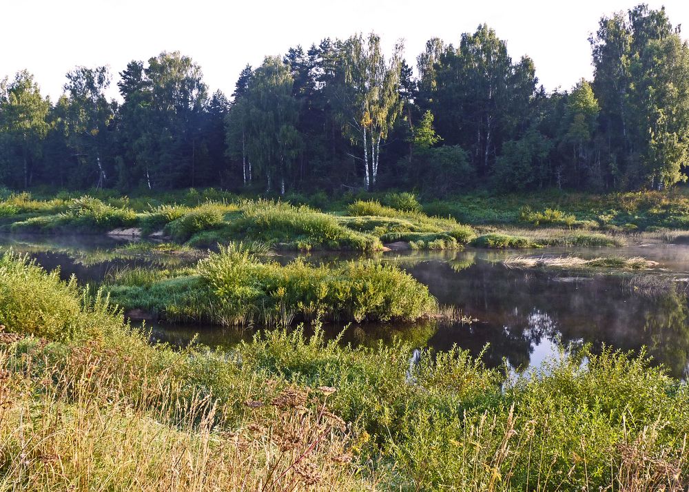 Photograph by Светлана Кукушкина