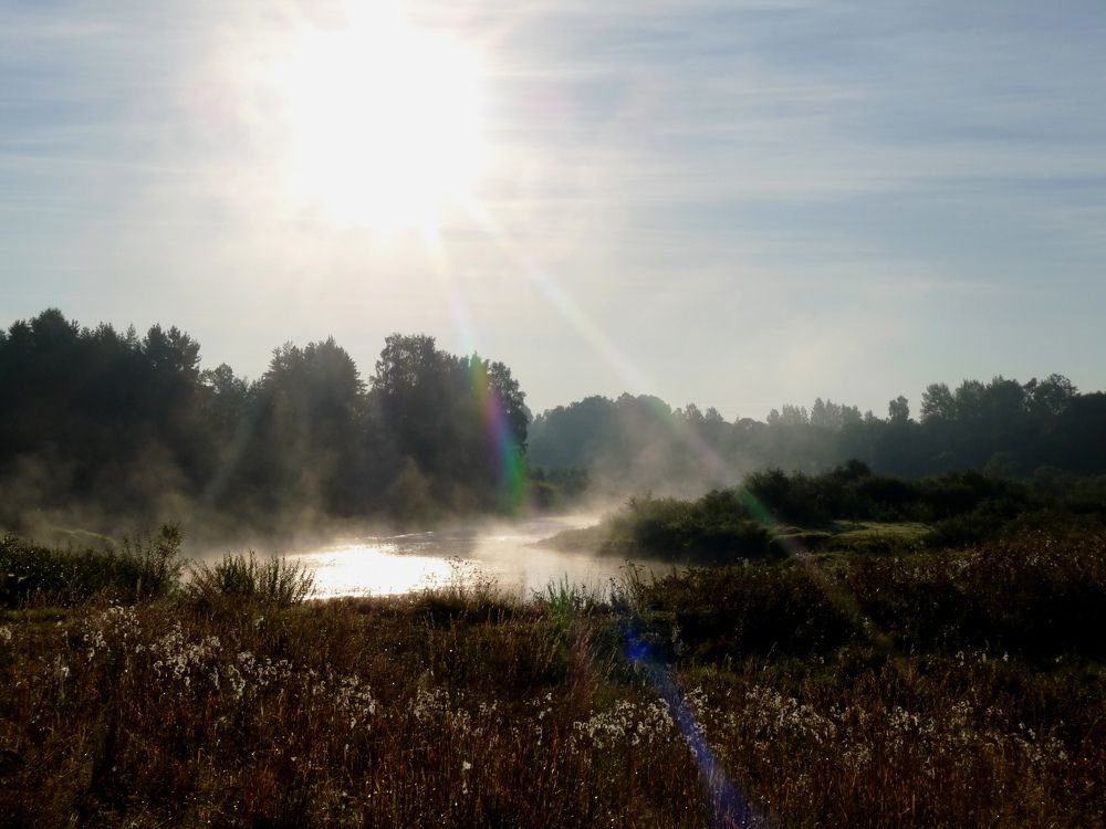 Раннее утро на реке.
