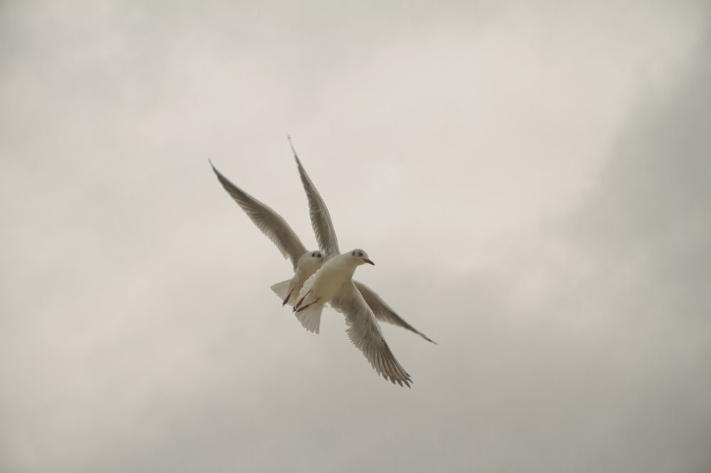 Photograph by Ольга Багрова