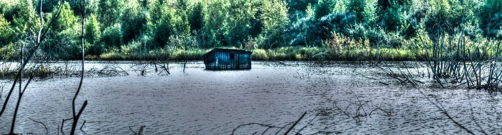 домик у озера