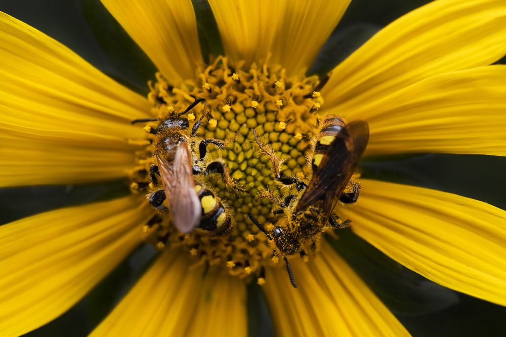 Фотография автора Tamara Maria Blazquez Haik
