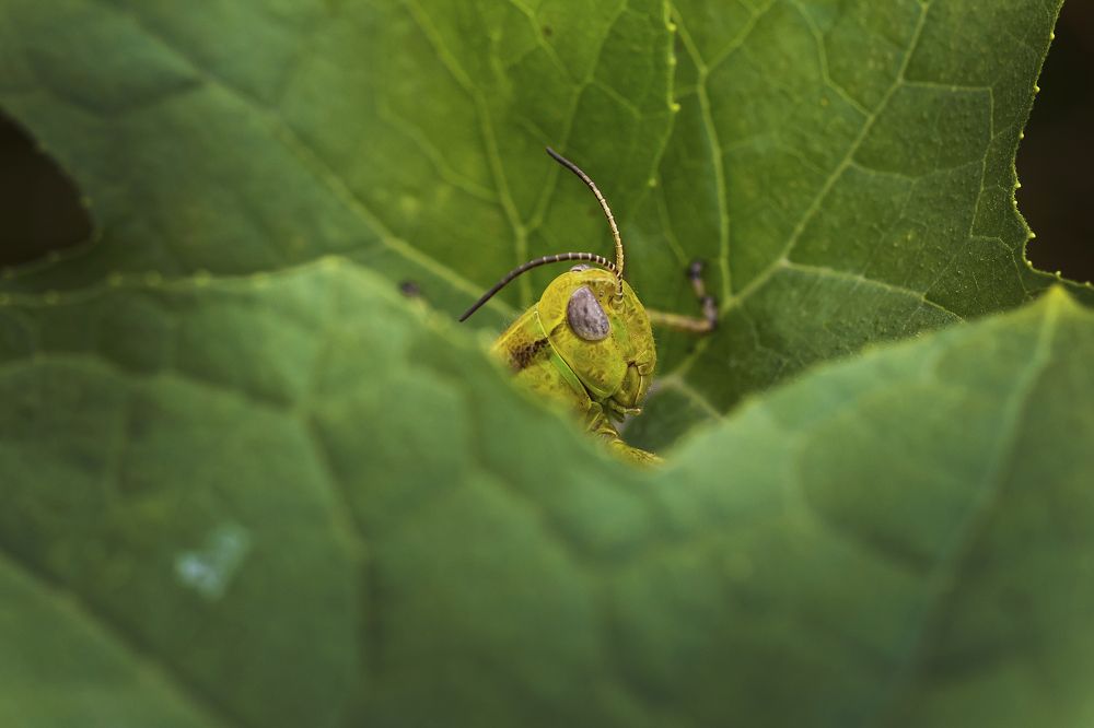 Фотография автора Tamara Maria Blazquez Haik