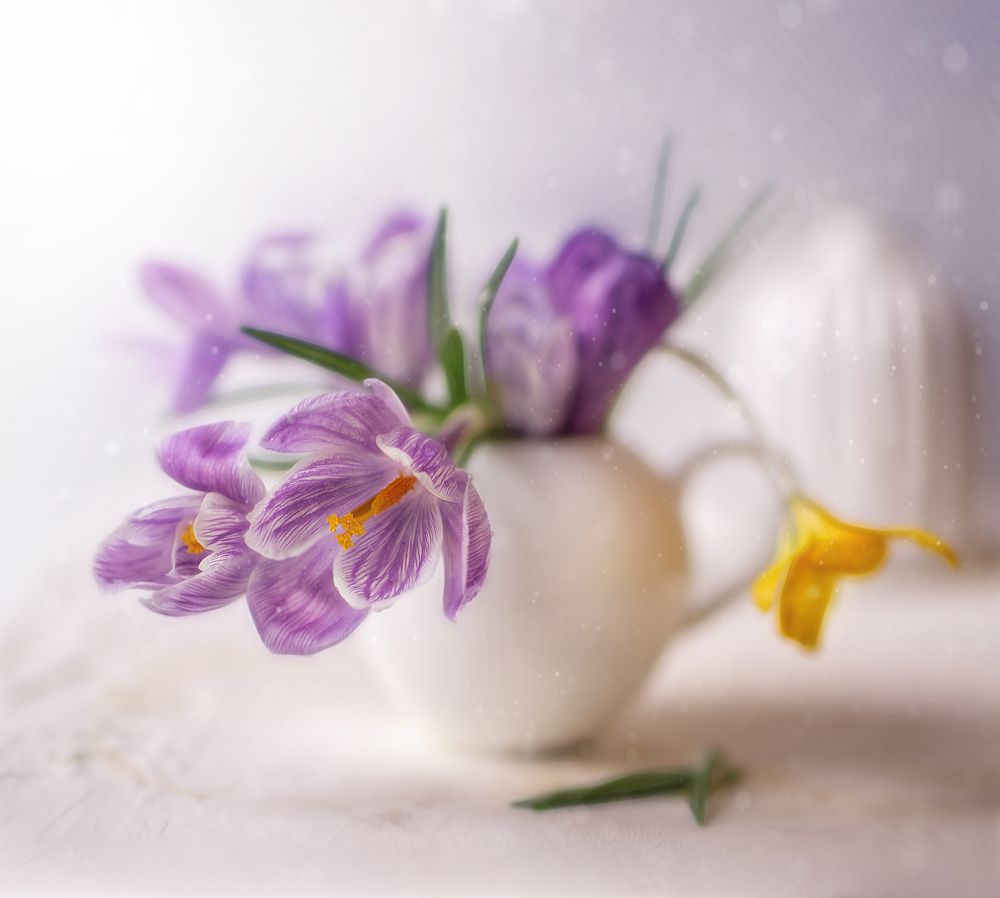 Photograph by Svoboda Andreeva