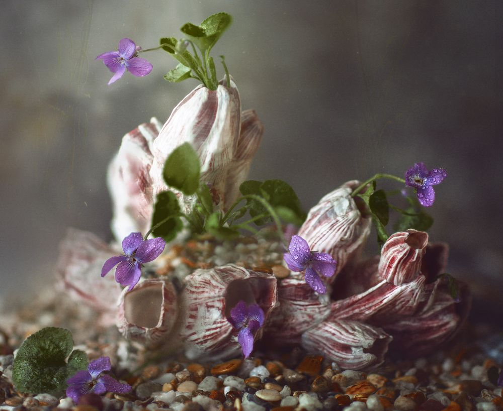 Photograph by Svoboda Andreeva