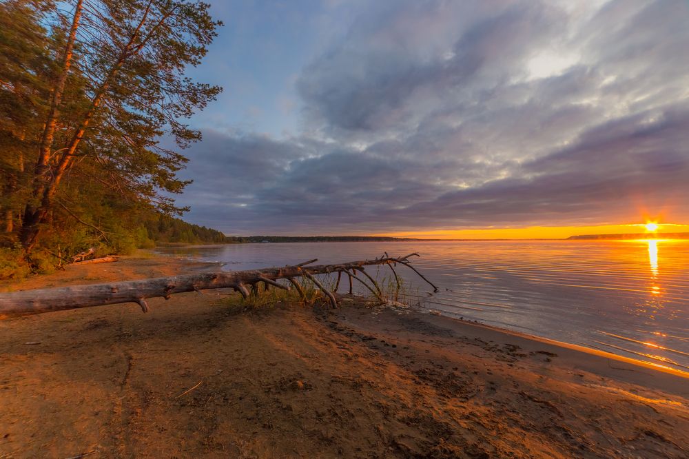 Photograph by Дмитрий Пасынков