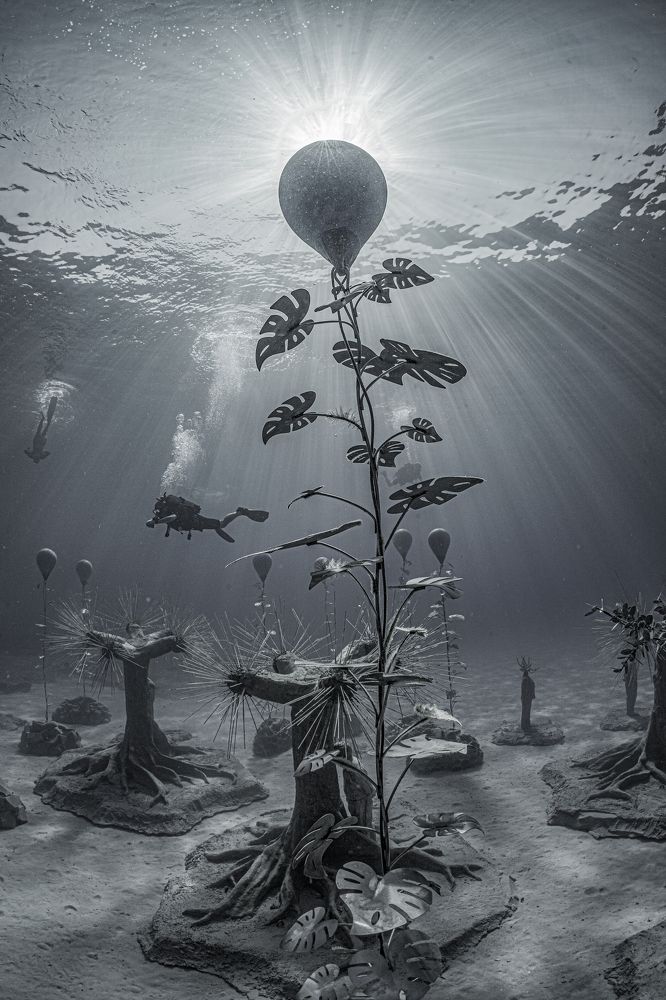 Фотография автора Павел Лапшин