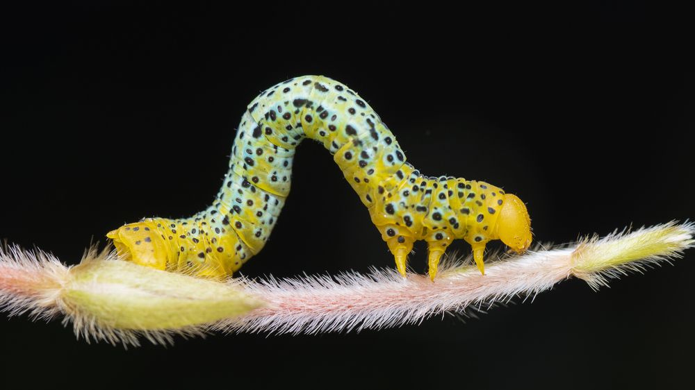 Photograph by Ng Max