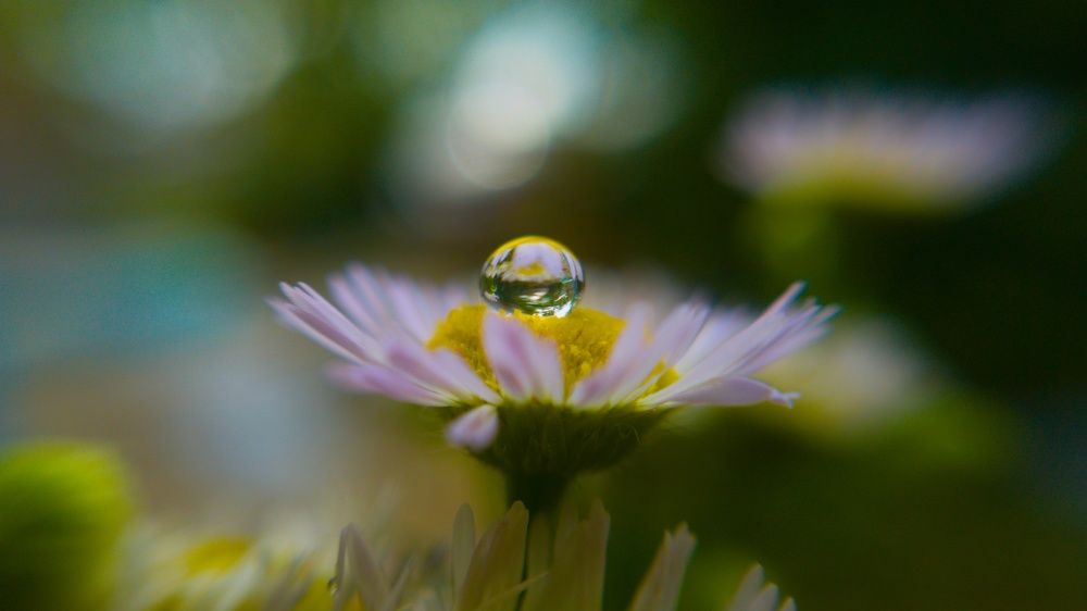 Photograph by Хачик Аджатян