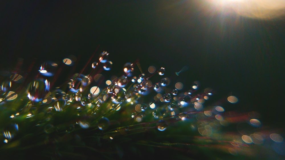 Photograph by Хачик Аджатян