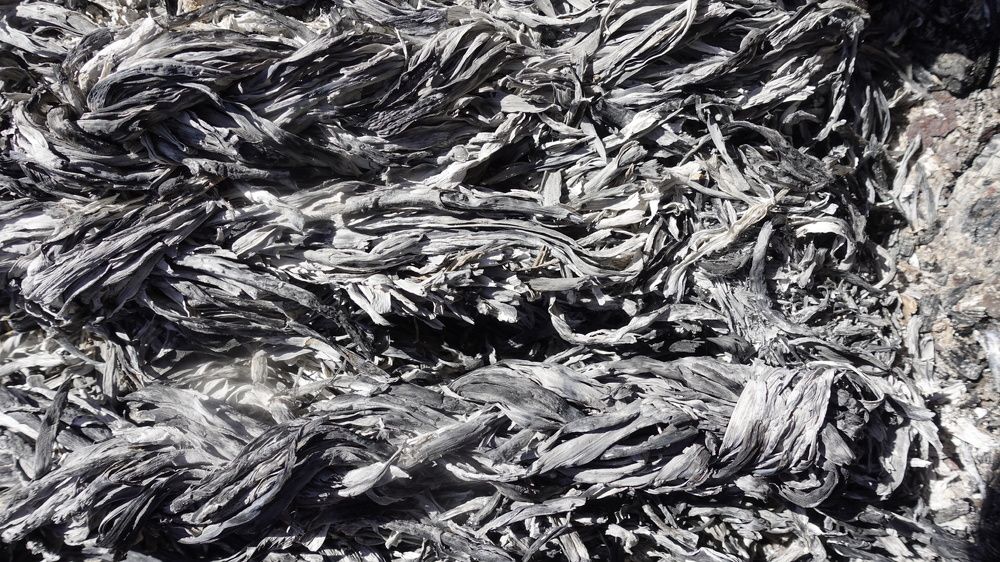 Фотография автора Александр Комаров