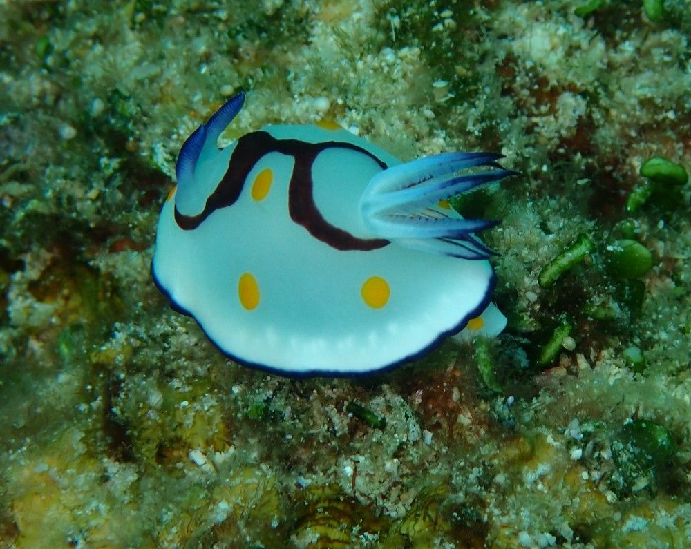 Photograph by Ovidiu Bogdan