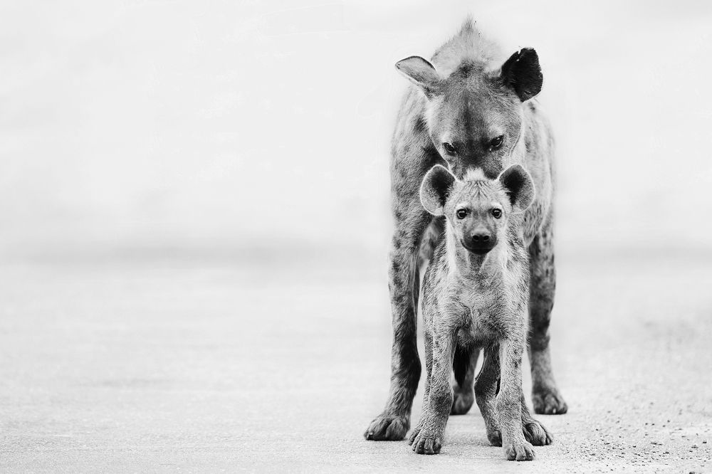 Photograph by Henri Burger