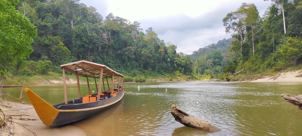 Tropical life of Taman Negara