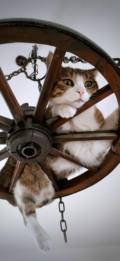 Photograph by Анастасия Ди Филиппо