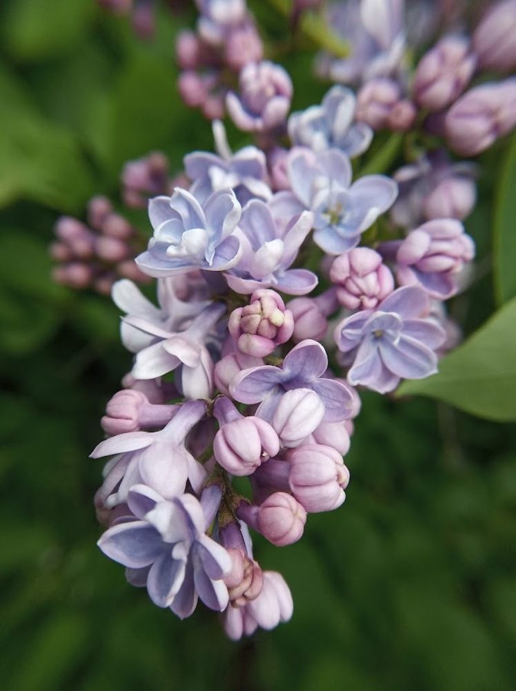 Photograph by Алексей Митницкий