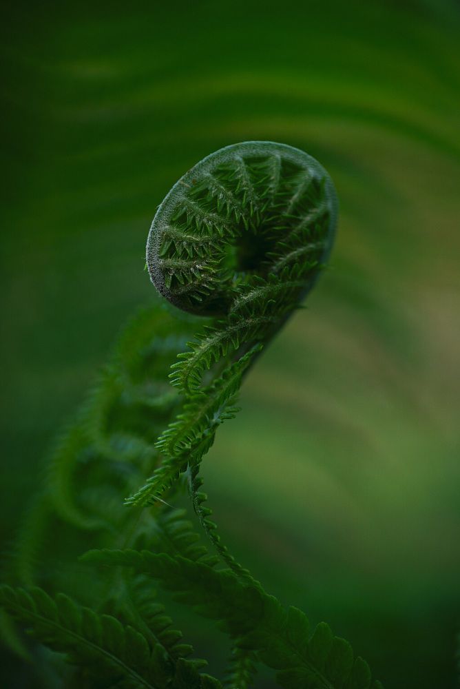 Фотография автора Алиса Чурчудесная