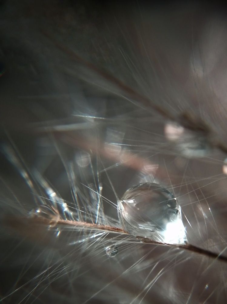 Photograph by Ольга Мокрова