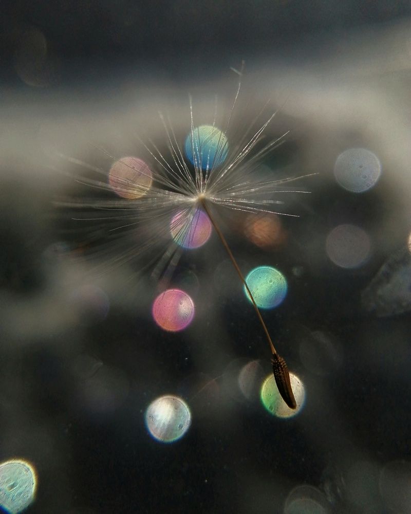 Photograph by Ольга Мокрова