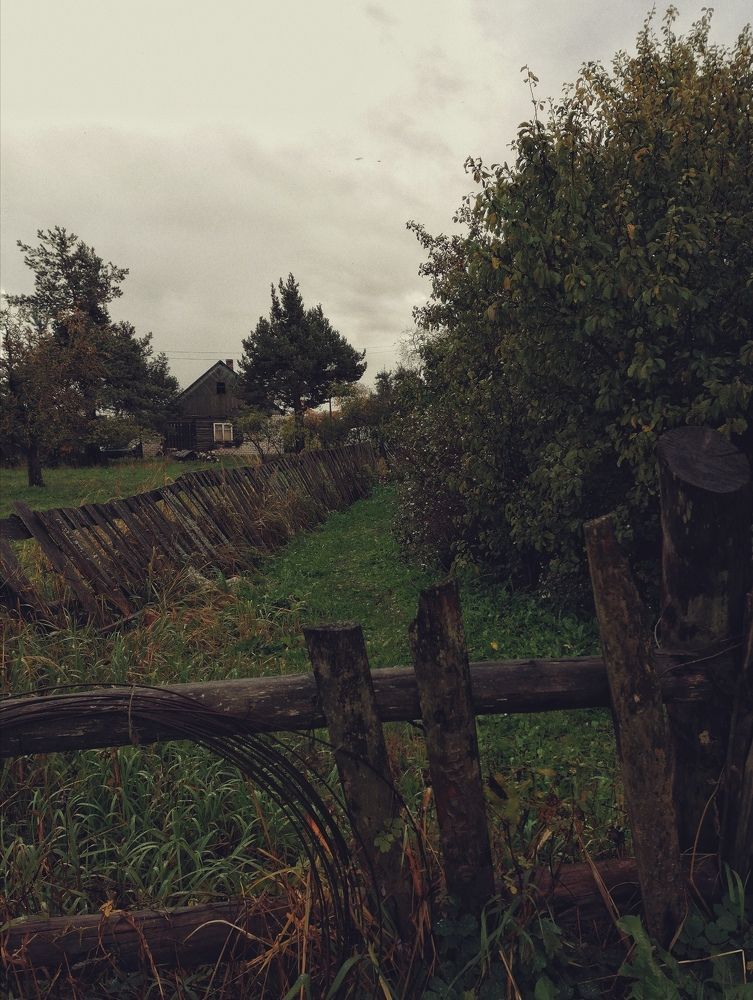 Photograph by Наталья Кондрашова