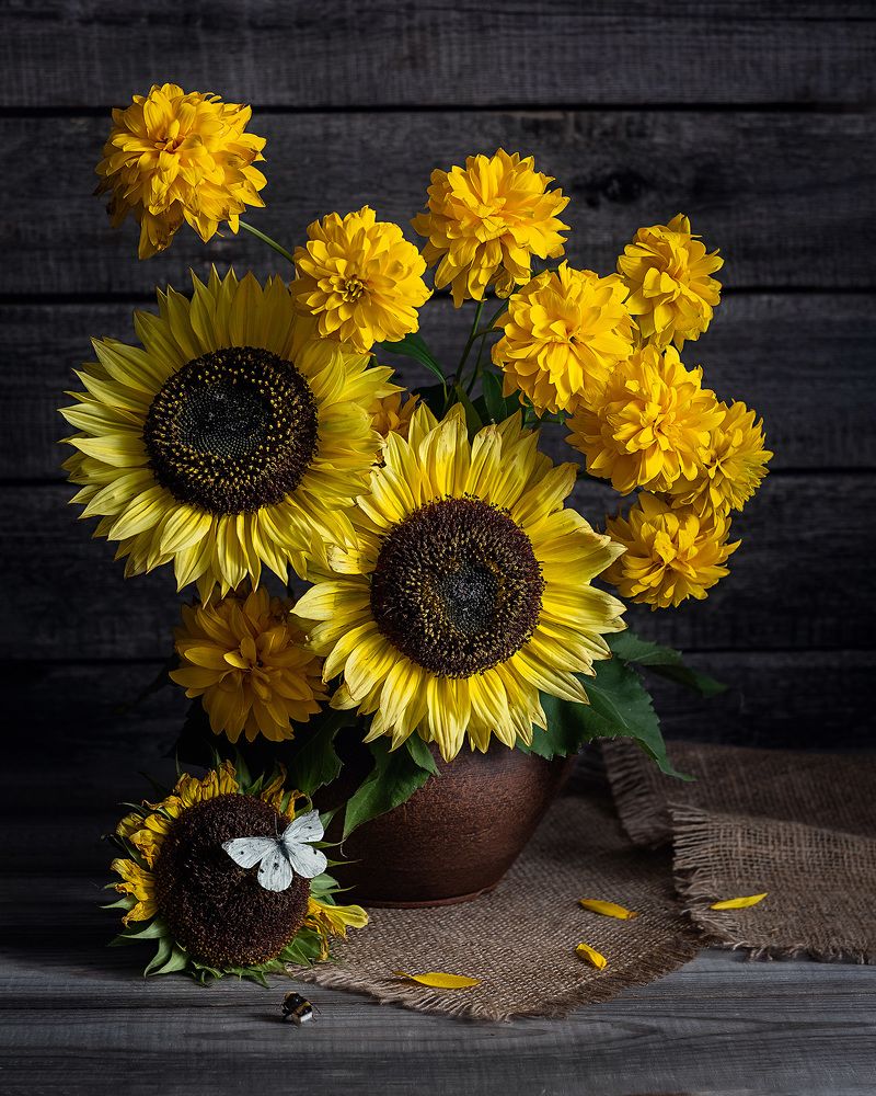 Цветы солнца