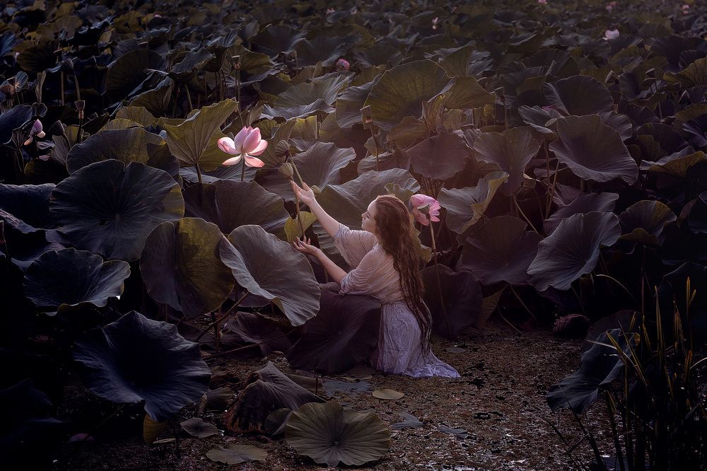 Фотография автора Елена Янченко