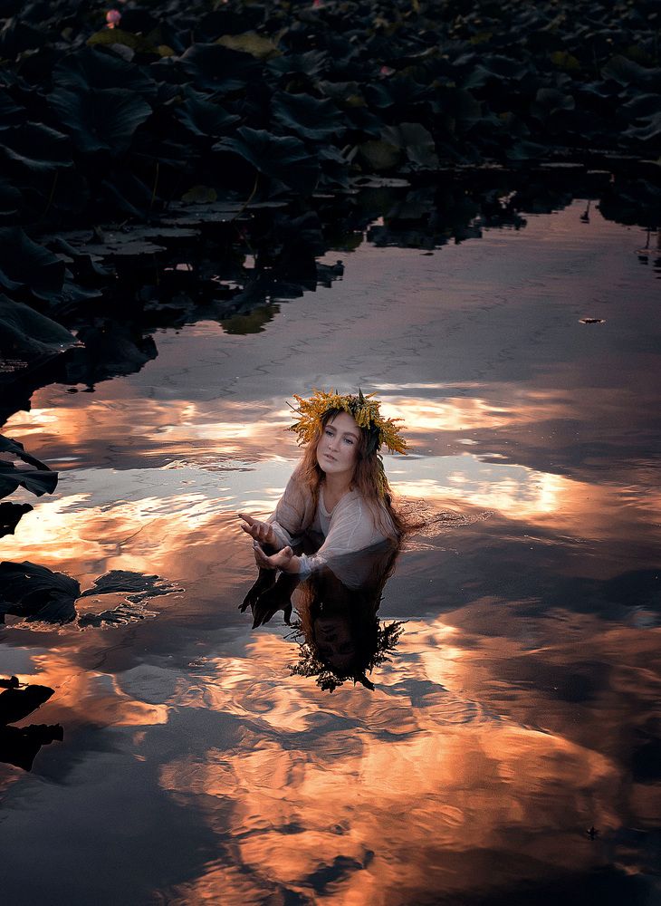 Фотография автора Елена Янченко