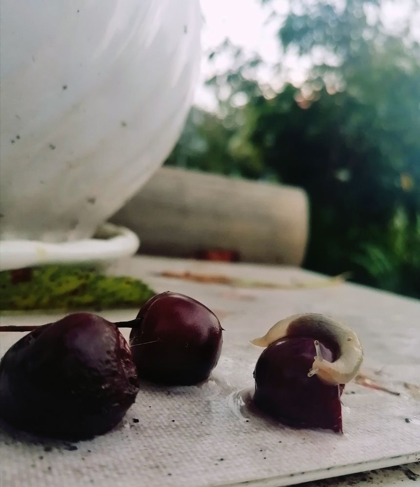 Photograph by Елена Лепешкина