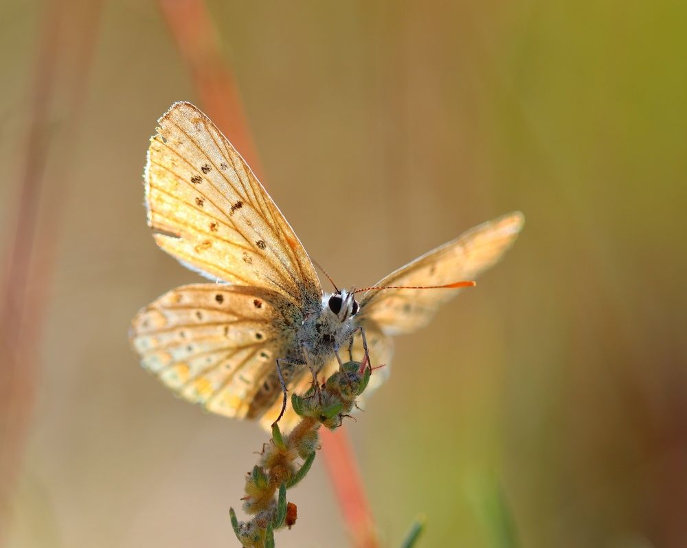 На прогреве) ☀️