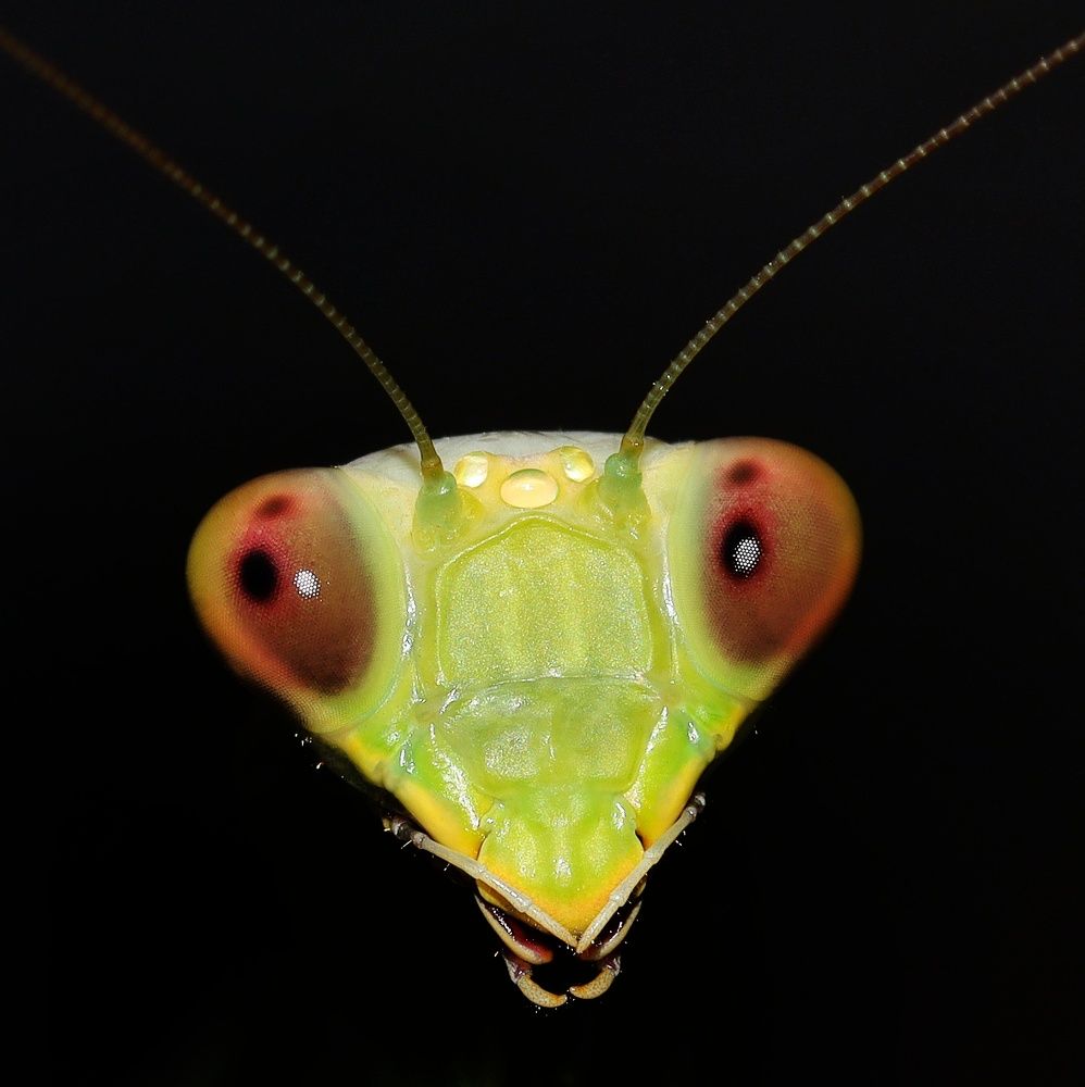 Photograph by Мамикон Мовсесян