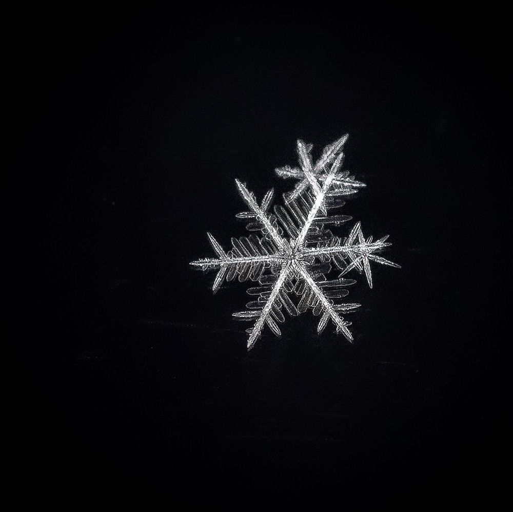 Photograph by Xeniya Kolosova