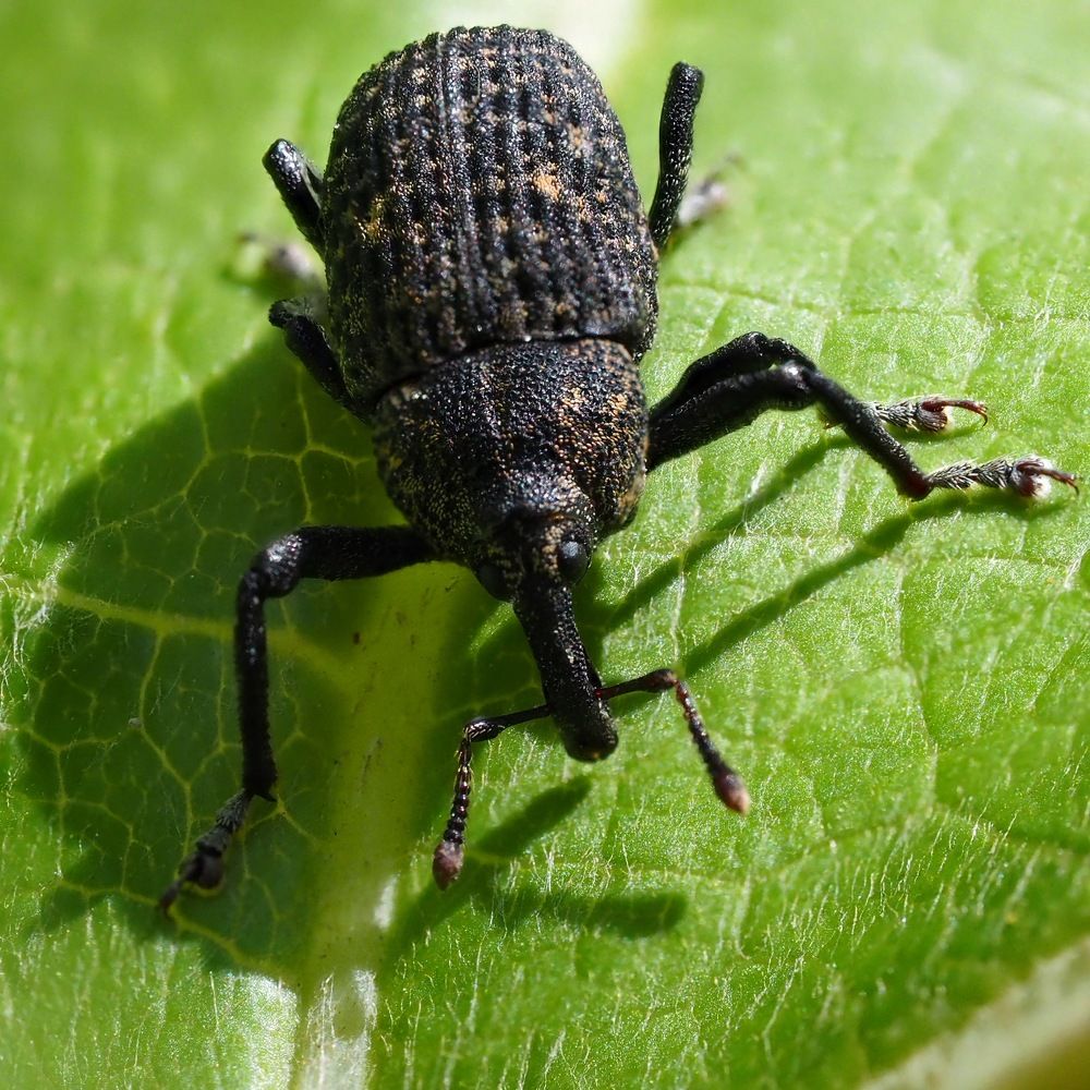 Photograph by Xeniya Kolosova