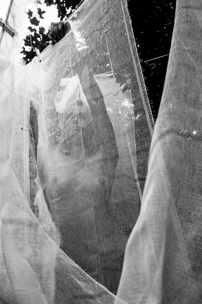 Photograph by Вячеслав Анокин