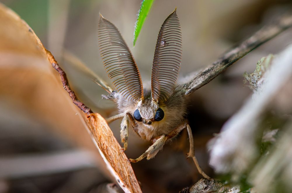 Photograph by  Mykhailo